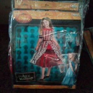 Alice in wonderland costume